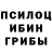 Псилоцибиновые грибы прущие грибы Mojtaba Kiani